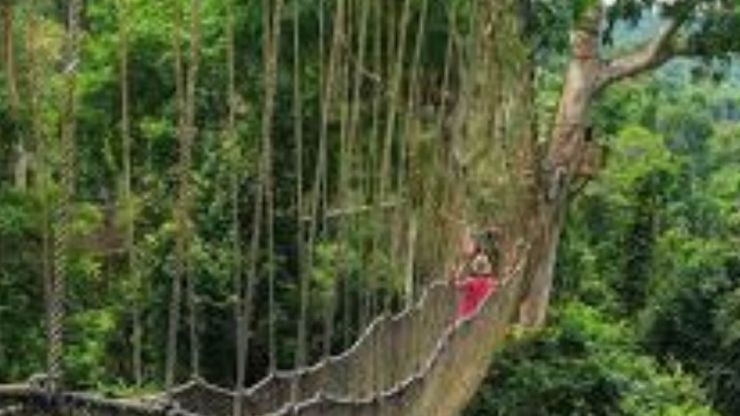 Parc national Kakum